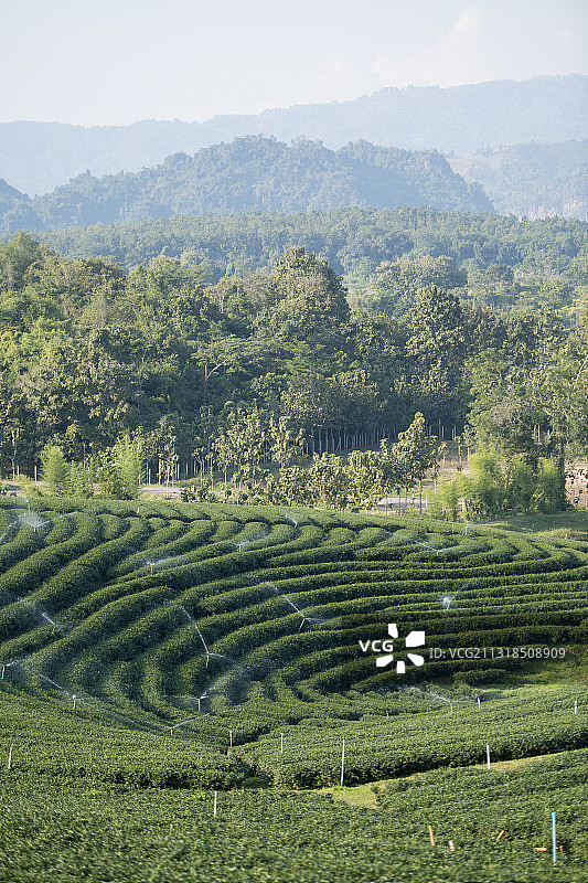 泰国农田天空美景图片素材