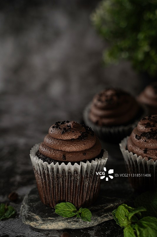 宾夕法尼亚州西切斯特纸杯蛋糕特写图片素材