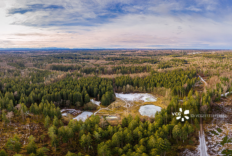 天空下的景观树木高角度景观图片素材