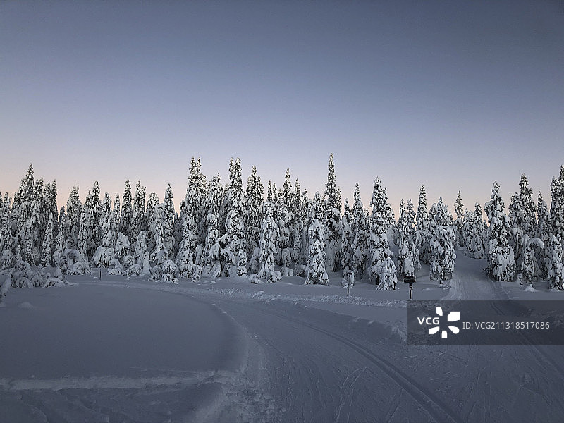 挪威米拉的雪地树木景观图片素材