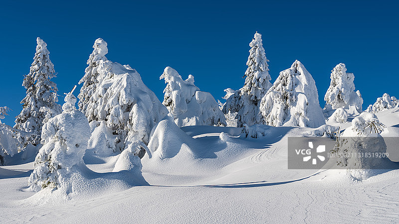 韦尼格罗德雪景全景，德国图片素材