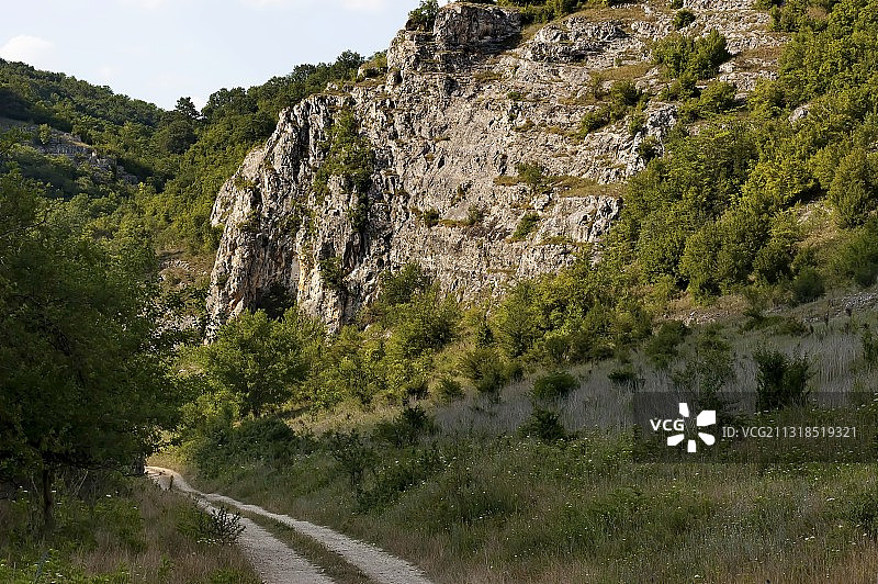 保加利亚鲁塞的树木公路风光图片素材