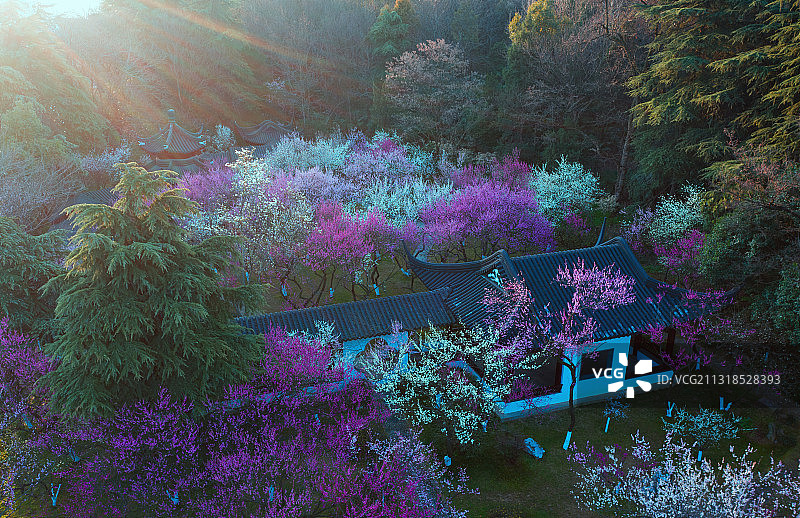 梅岗晨曦图片素材