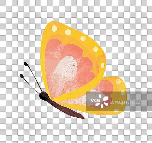 蝴蝶元素图片素材