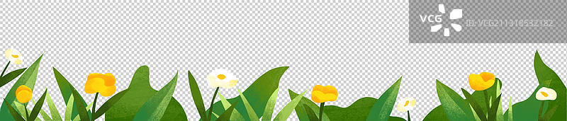 植物花朵元素图片素材