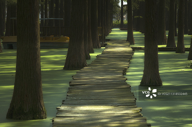 林间湖上图片素材