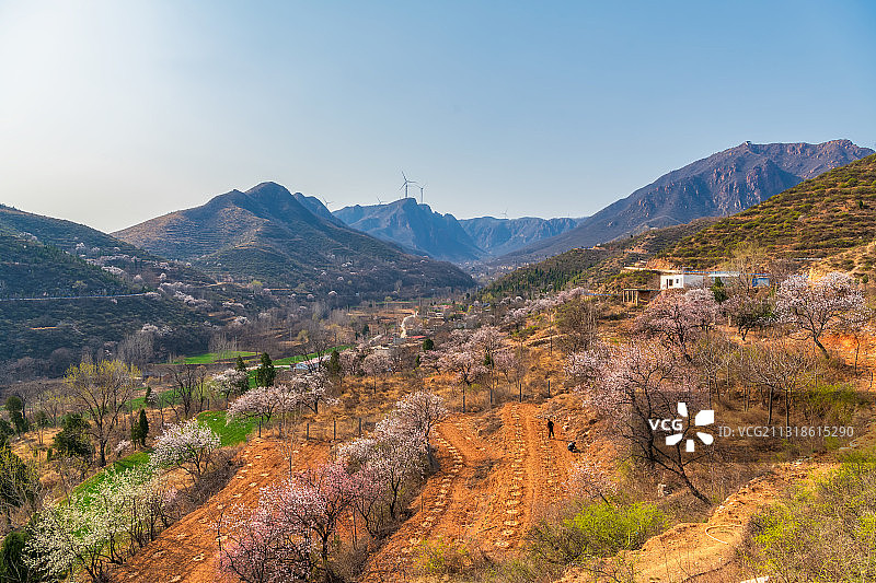 河南郑州新密市伏羲山尖山春季乡村杏花户外风光图片素材