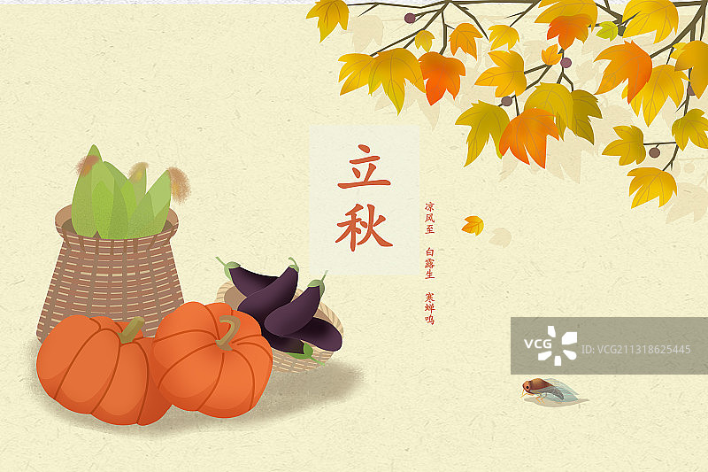 立秋图片素材