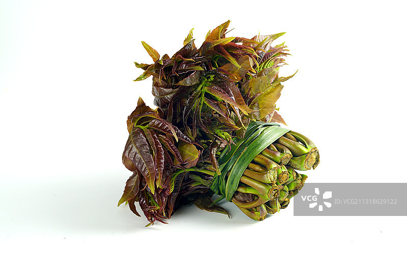捆扎在一起的香椿芽图片素材