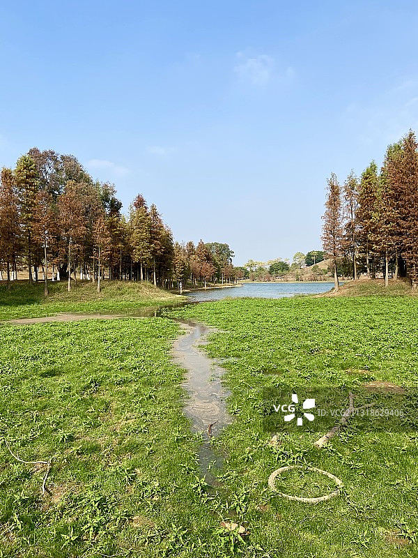松山湖阳光沙滩图片素材