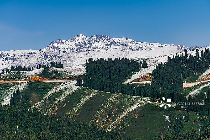 新疆江布拉克景区图片素材