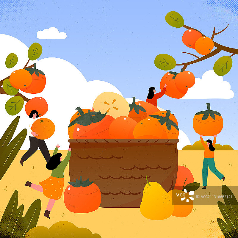 多人采摘柿子矢量插画海报竖图图片素材