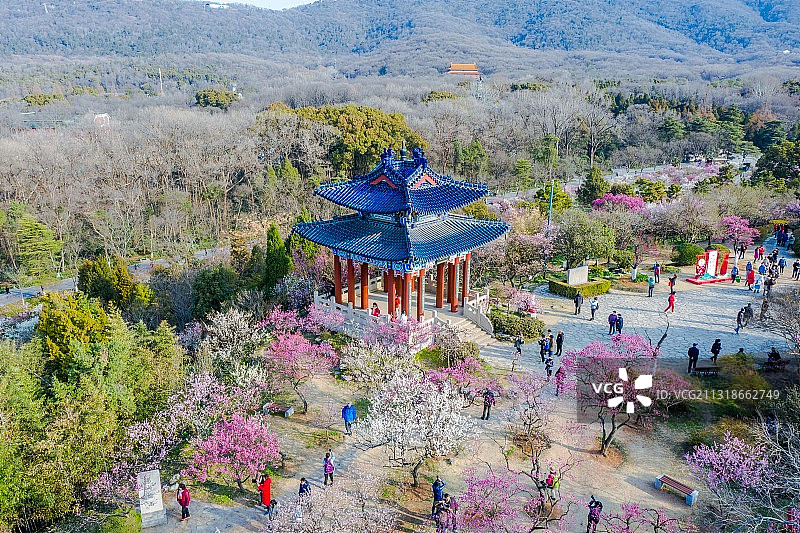 博爱阁，江苏南京图片素材