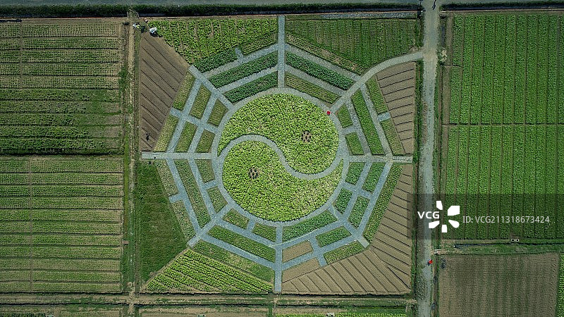 花式菜园图片素材