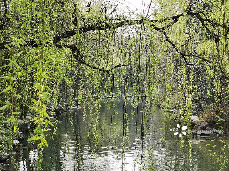 春天里图片素材