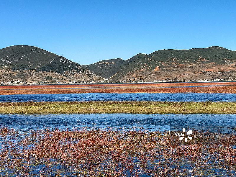 五彩缤纷的沼泽图片素材