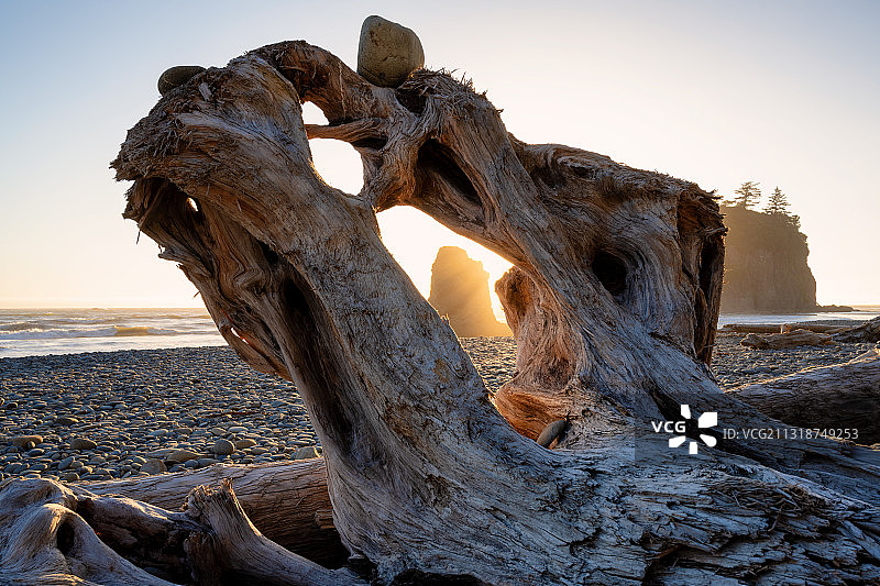 美国华盛顿州红宝石海滩日落时分天空下的浮木特写图片素材