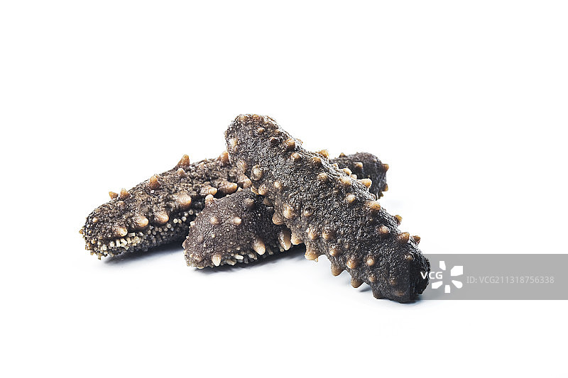 泡发后的海参图片素材