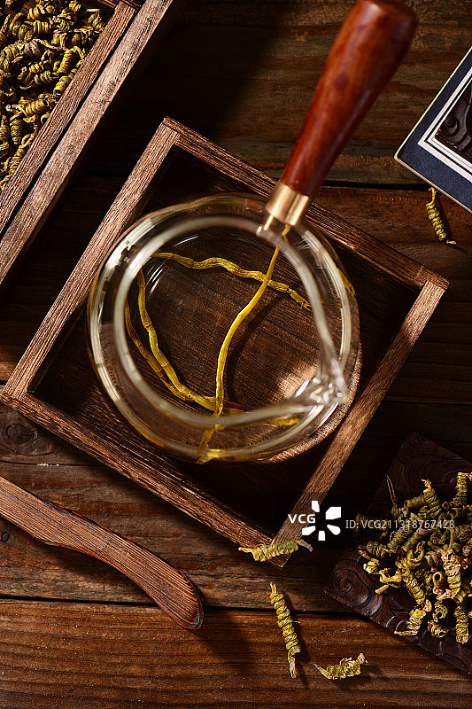 霍山米斛图片素材