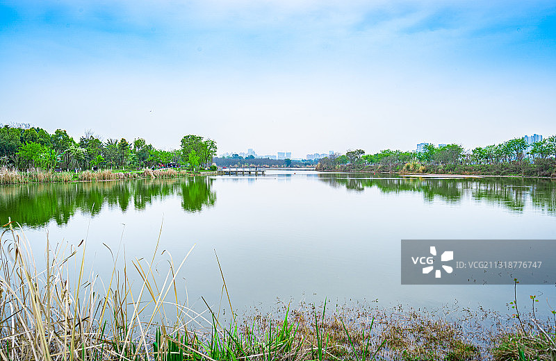 成都青龙湖湿地公园图片素材