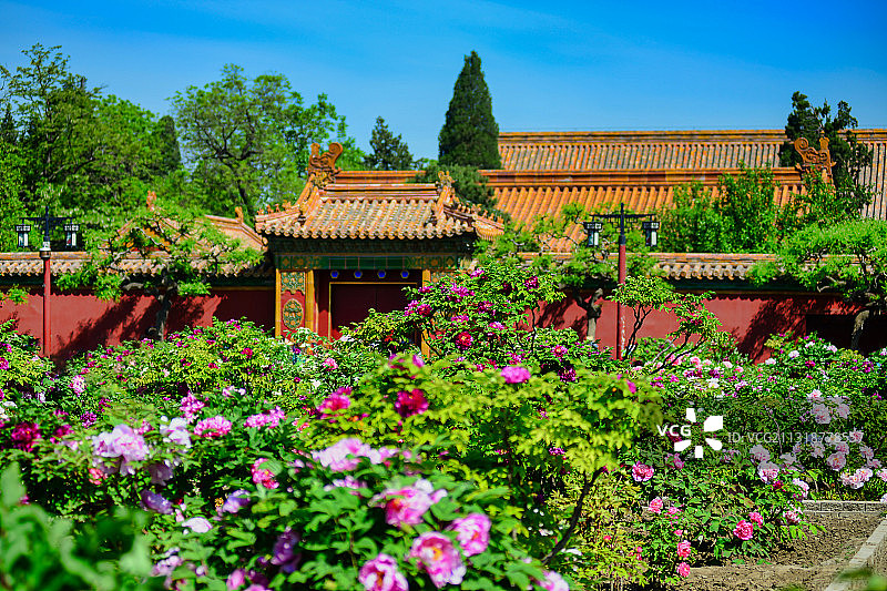 春有百花图片素材