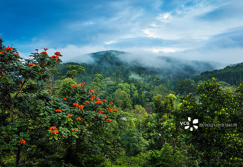 斯里兰卡图片素材