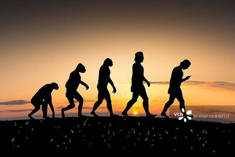 人类进化进步的全过程图片素材
