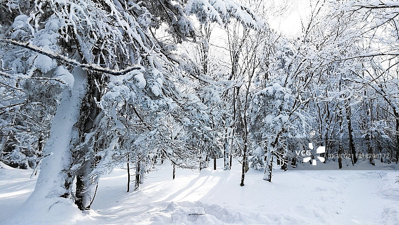 林海雪原图片素材