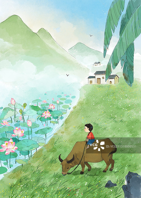 二十四节气之大暑图片素材