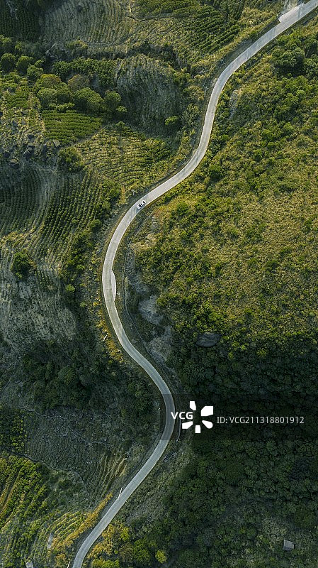 绿海一线图片素材