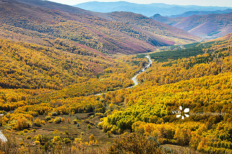 秋天的黄岗梁图片素材