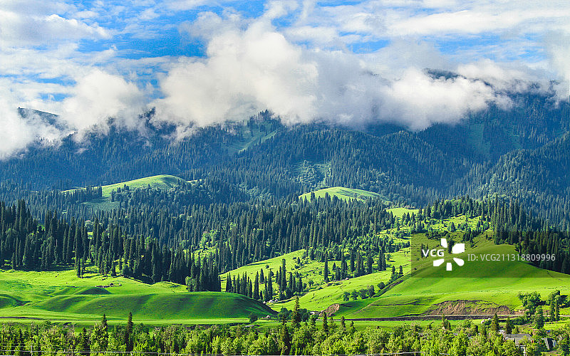 新疆那拉提草原牧场图片素材