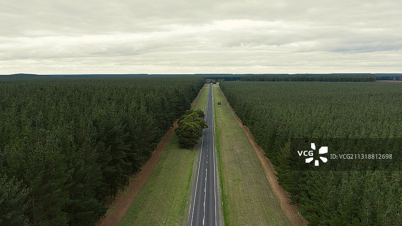 两侧绿色树林之中笔直的公路图片素材