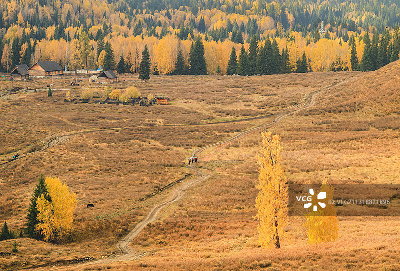 新疆禾木深秋景色图片素材