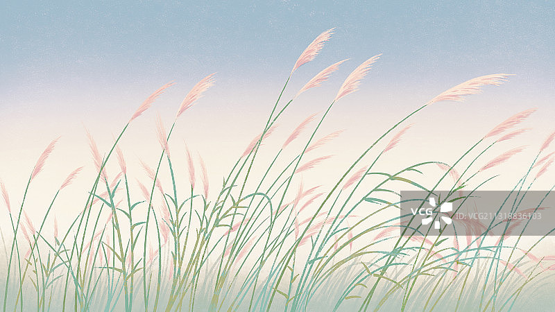 文艺风二十四节气风景白露 横版质感肌理图片素材