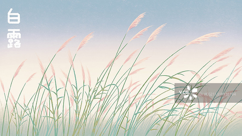 文艺风二十四节气风景白露 横版质感肌理 含字体设计图片素材