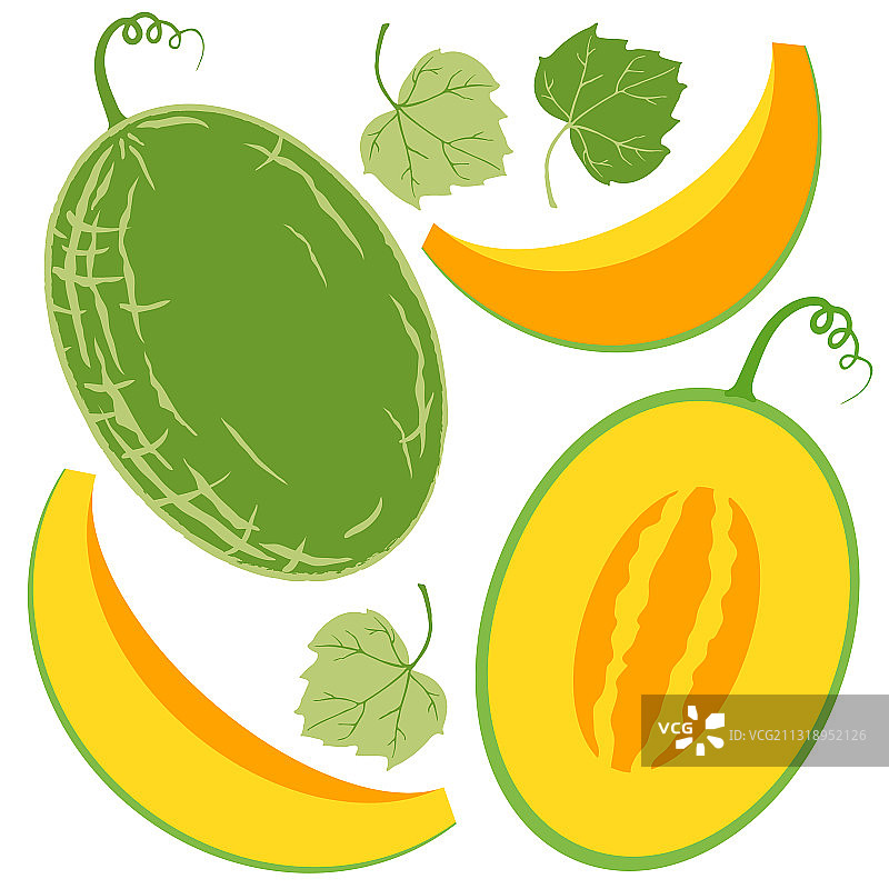 多汁的黄色甜瓜元素合集图片素材