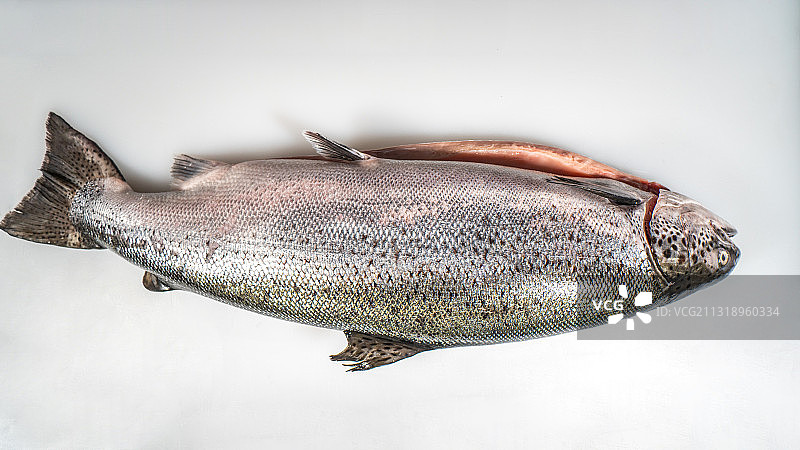 新鲜深海三文鱼图片素材
