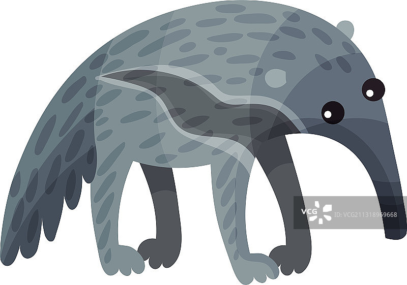 长着长鼻子作为非洲动物的土豚图片素材