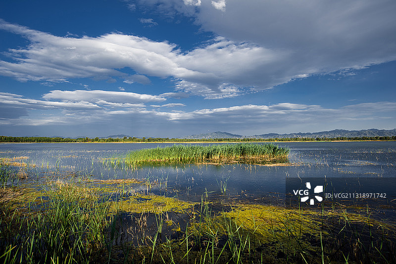 野鸭湖国家湿地公园图片素材