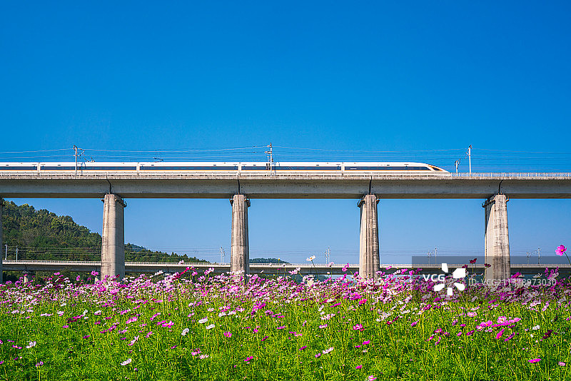 花海里的高铁图片素材