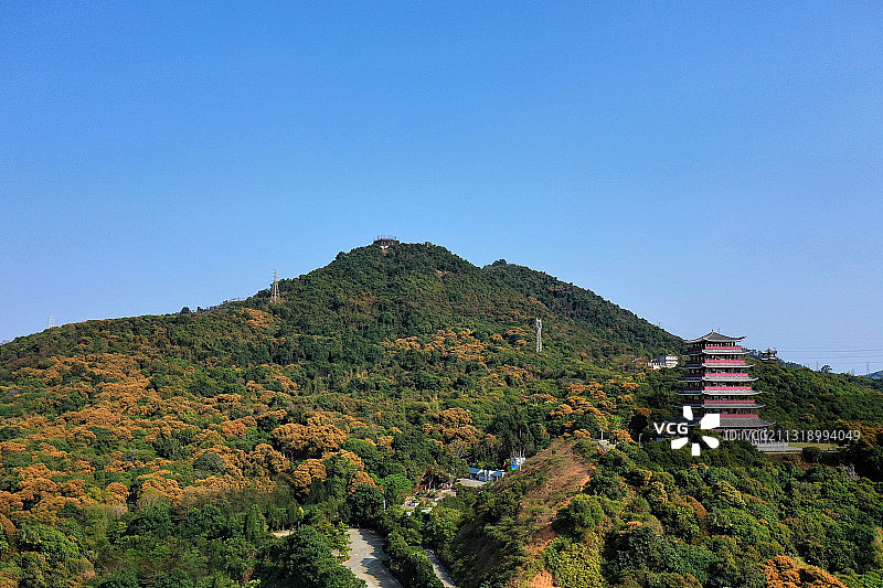广东省东莞市清溪镇大王山森林公园航拍图片素材