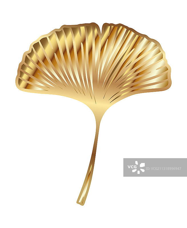 金色银杏叶图片素材