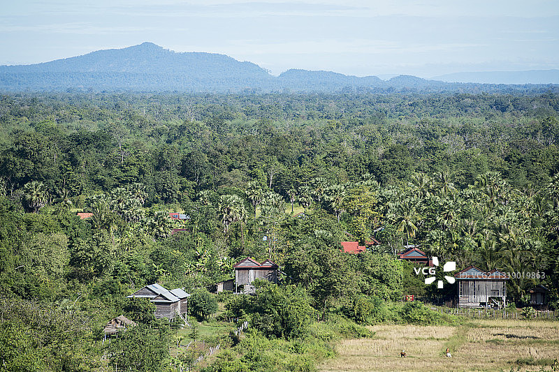 树木与房屋高角度景观图片素材