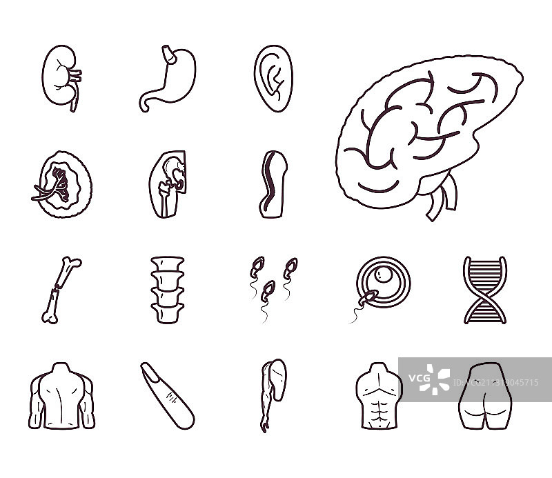 人体线条风格图标集设计图片素材