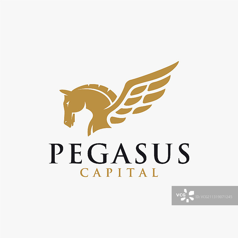 强大的优雅飞马标志模板图片素材