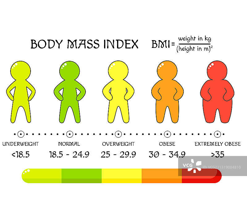 BMI概念：从体重不足到超重的体型图片素材