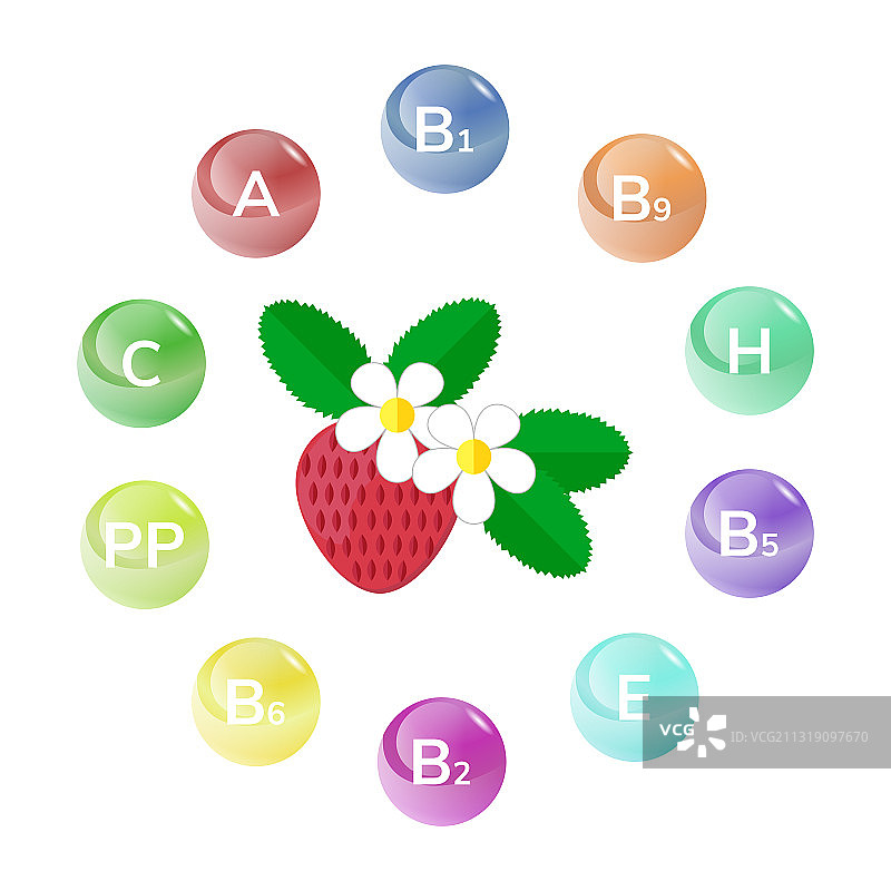 花园森林红色草莓浆果图片素材
