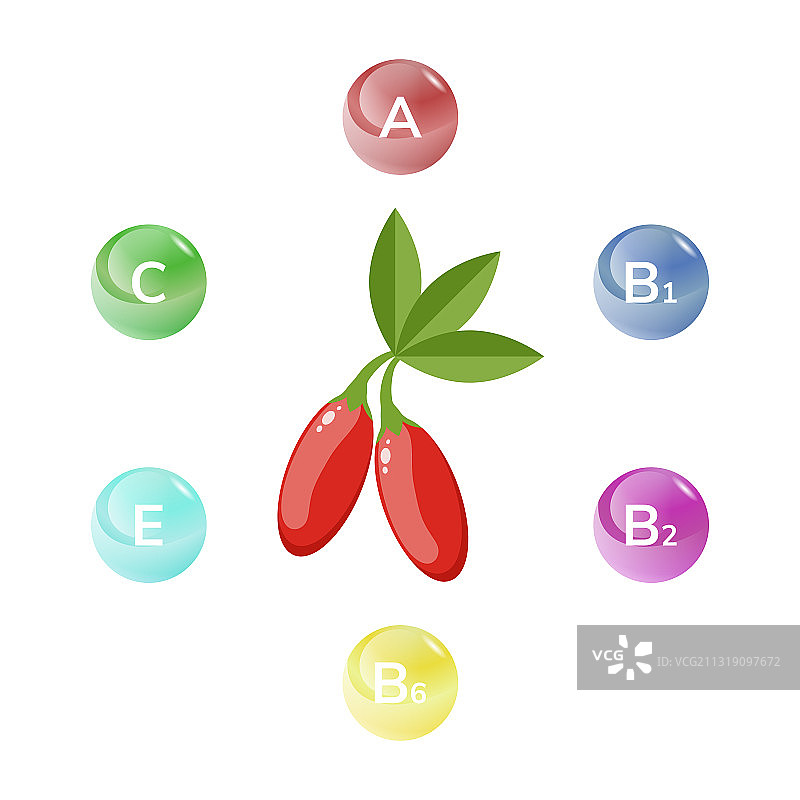 带绿叶的红色枸杞信息图图片素材
