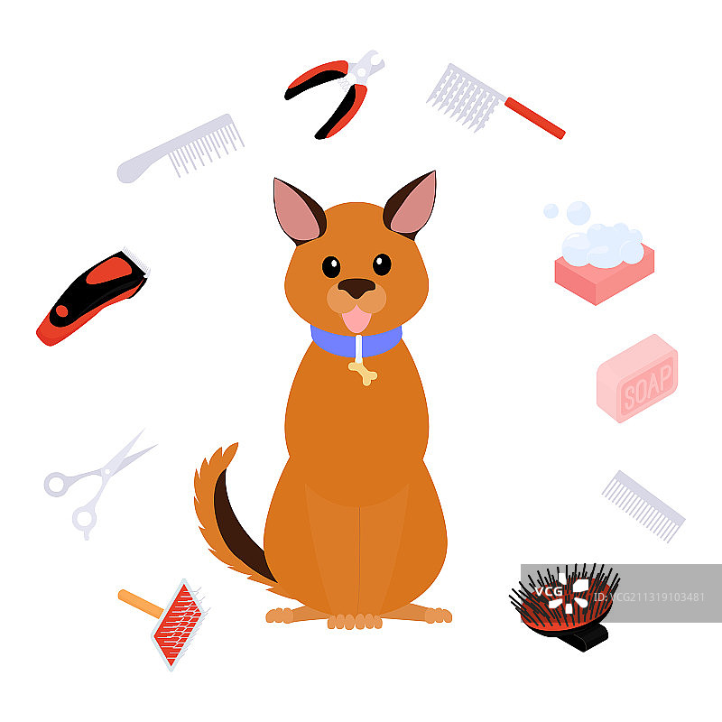 宠物狗美容护理沙龙图片素材